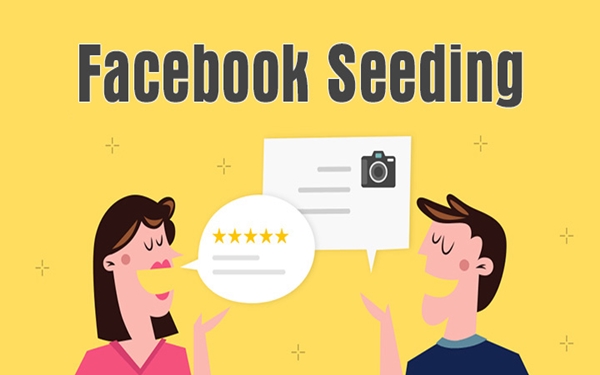 seeding facebook hiệu quả